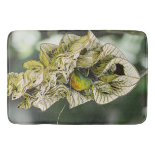 Alfombrilla De Baño Ave verde, Euphonia Fotografía de Belice