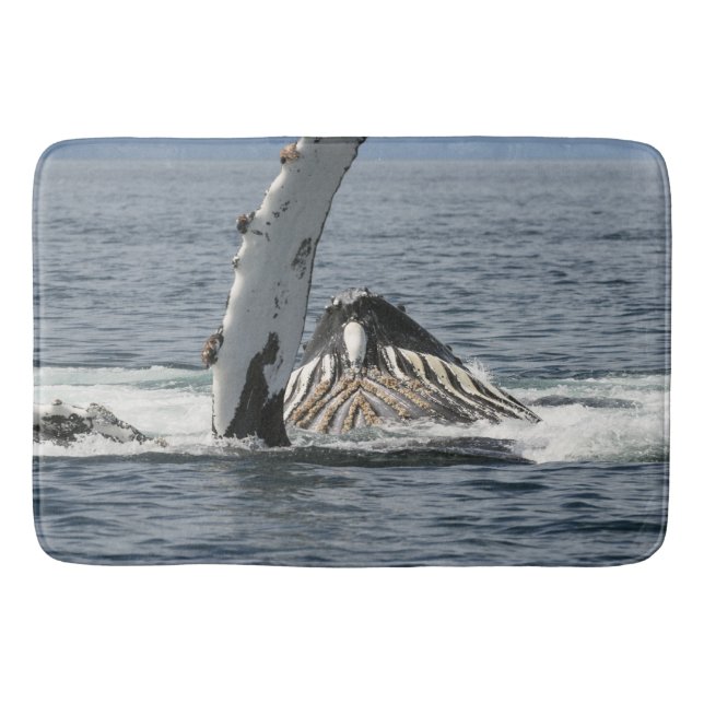 Alfombrilla De Baño Ballena jorobada (Anverso)