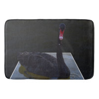Bañado De Cisne Negro En Estanques Dimensionales,