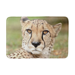 Alfombrilla De Baño Bath Mat Photo guepard cat , animales.