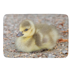Alfombrilla De Baño Cebada Adorable de Canadá, ganso en la grava