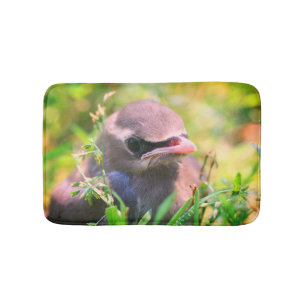 Alfombrilla De Baño Cedro amarillo Waxwing Fledglglglgling Bird