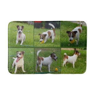 Alfombrilla De Baño Colgante de Zorro Marrón Y Blanco Terrier,
