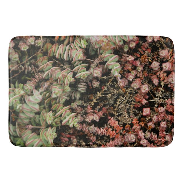 Alfombrilla De Baño Crassula perforata (Anverso)