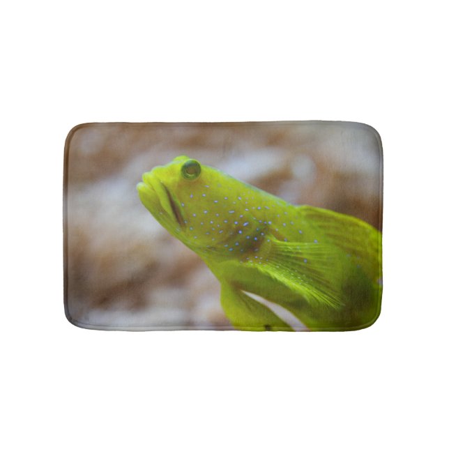 Alfombrilla De Baño Cryptocentrus cinctus (Anverso)