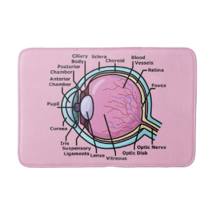 Alfombrilla De Baño Diagrama del Ojo