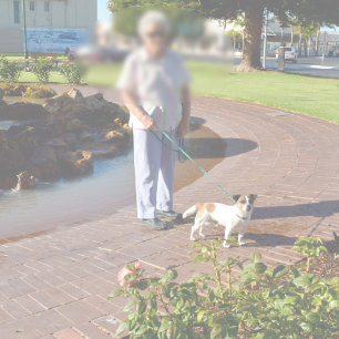 Alfombrilla De Baño Días felices de Fox Terrier, Bathmat de espuma de