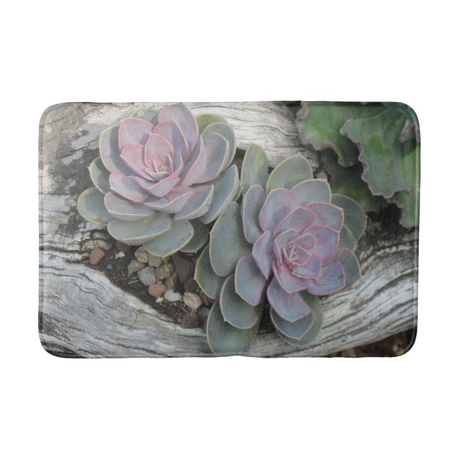 Alfombrilla De Baño Echeveria Succulent Bath Mat (Anverso)