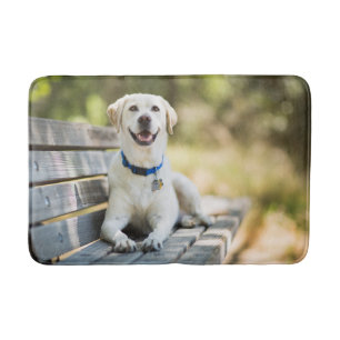 Alfombrilla De Baño El Labrador Amarillo Está En El Banco