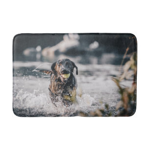 Alfombrilla De Baño El Labrador Negro Juega A La Obra En El Agua