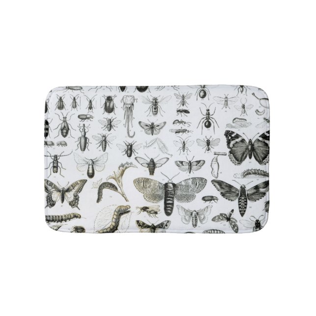 Alfombrilla De Baño Entomología (Anverso)