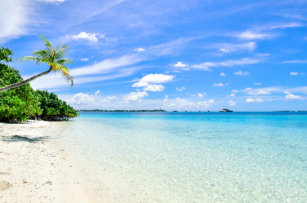 Get Wallpaper Alfombrillas De Bano Tematica La Playa De Zazzle Es For iPhone