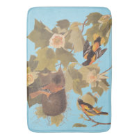 Familia Baltimore Oriole Audubon con nido