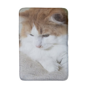 Alfombrilla De Baño (Fancy felino) Contemplación gitana: foto de gato