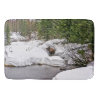 Fauna occidental de los alces de la estera de baño