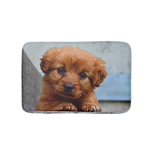 Alfombrilla De Baño Foto del retrato del perrito de Brown