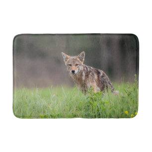 Alfombrilla De Baño Fotografía animal, Coyote marrón
