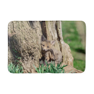Alfombrilla De Baño Fox Kit en el Valle de Hudson
