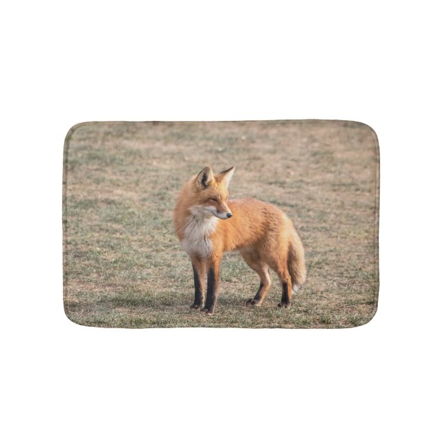 Alfombrilla De Baño Fox rojo en un campo (Anverso)