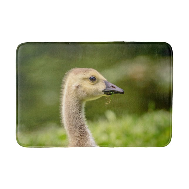 Alfombrilla De Baño Ganso Canadiense (Gosling) (Anverso)