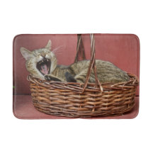 Gato En Mat De Baño De Cesta
