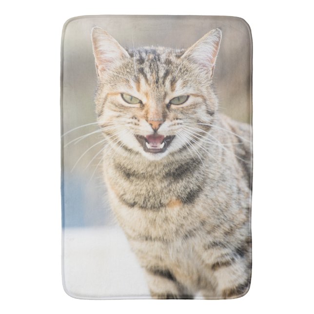 Alfombrilla De Baño Gato hermoso (Frente vertical)