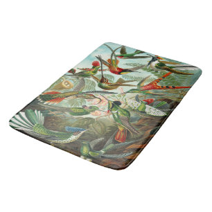 Alfombrilla De Baño Gorgeous Ernst Haeckel Hummingbirds