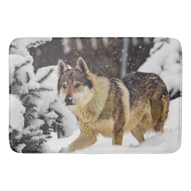 Alfombrilla De Baño Gran Hermoso Lobo Gris Salvaje en la nieve (Anverso)