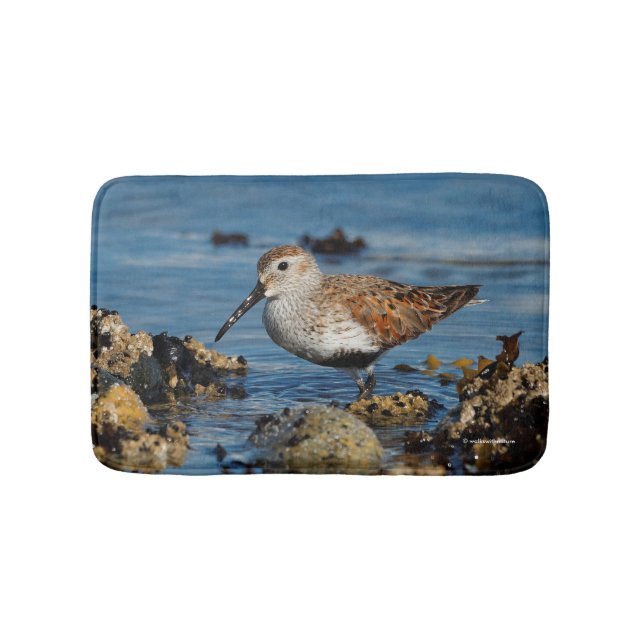 Alfombrilla De Baño Hermoso Dunlin Shorebird en la playa (Anverso)
