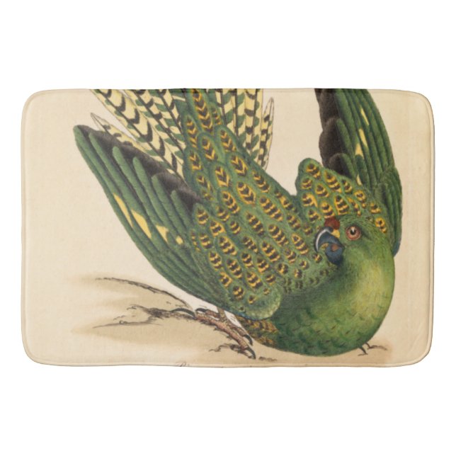 Alfombrilla De Baño James Sowerby Ground Parrot, Psittacus terrestres (Anverso)