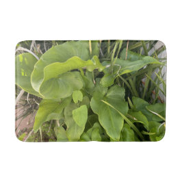 Alfombrilla De Baño Jardín trasero Clausura Naturaleza exterior Foto