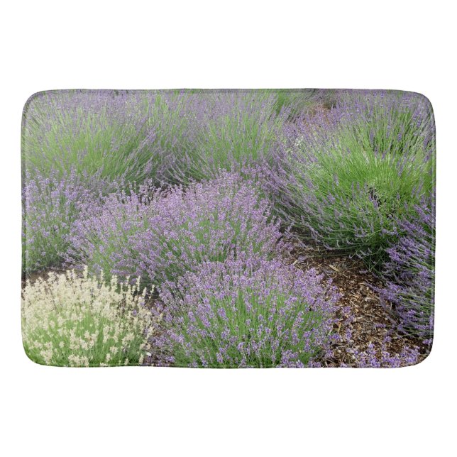 Alfombrilla De Baño Lavanda preciosa (Anverso)