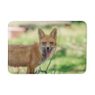 Alfombrilla De Baño Mama Fox en el Valle de Hudson