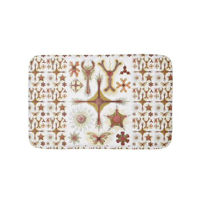 Alfombrilla De Baño Manzanilla silvestre por Ernst Haeckel, naturaleza (Anverso)