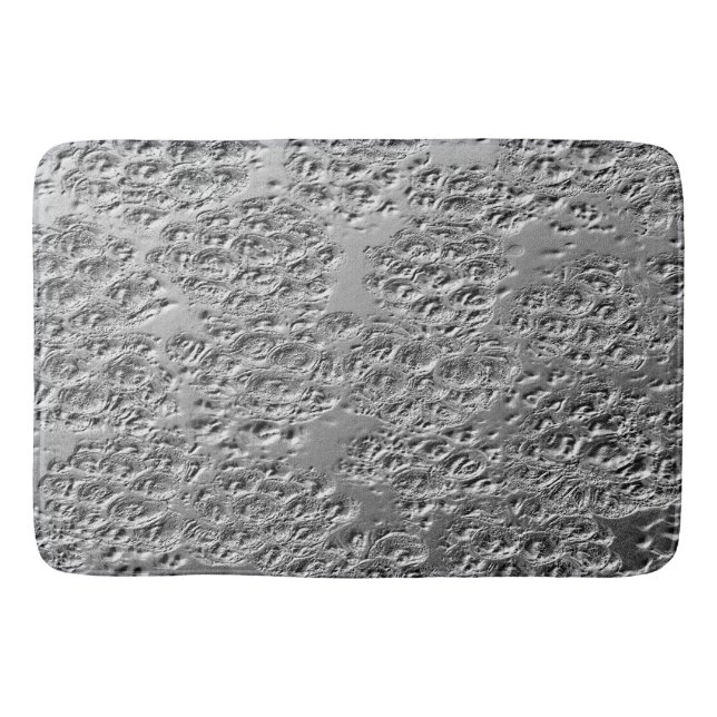 Alfombrilla De Baño Metalizado de plata dañada (Anverso)