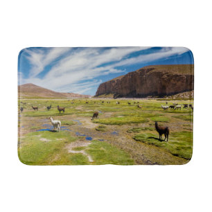 Alfombrilla De Baño Montañas   Andes bolivianos