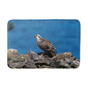 Alfombrilla De Baño Osprey sobre las rocas