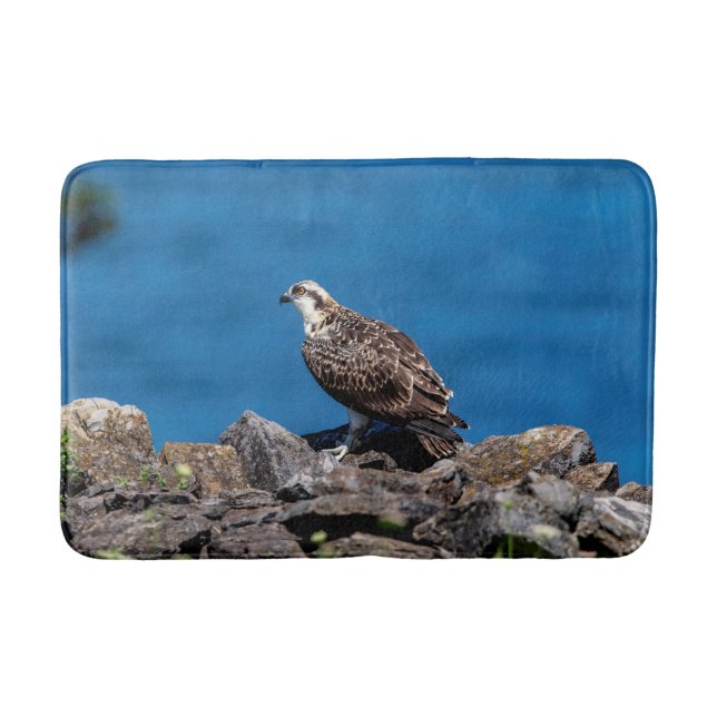 Alfombrilla De Baño Osprey sobre las rocas (Anverso)