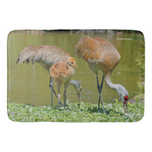Alfombrilla De Baño Padres de Sandhill Crane y polluelo