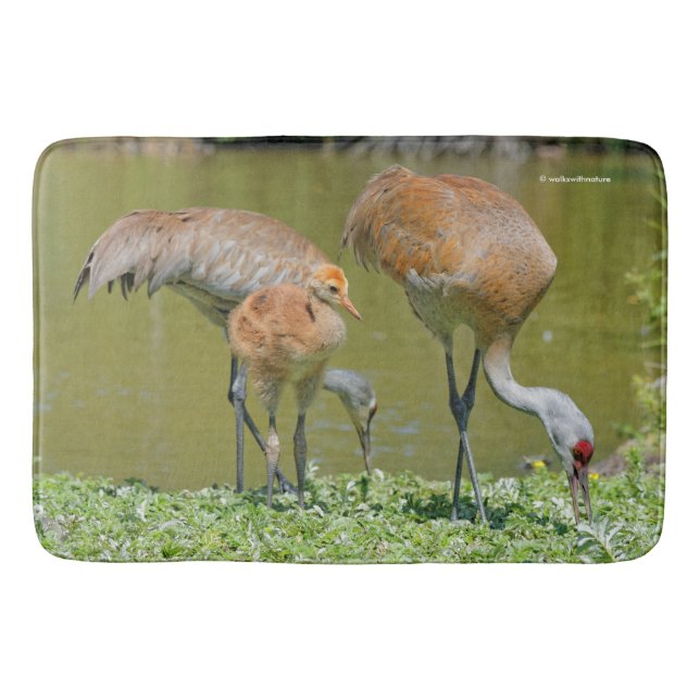 Alfombrilla De Baño Padres de Sandhill Crane y polluelo (Anverso)
