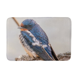 Alfombrilla De Baño Pájaro azul, barbecho de barn, fotografía canadien