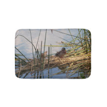 Patos silvestres en la caña