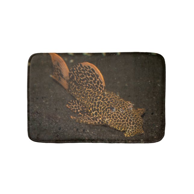 Alfombrilla De Baño Peckoltia Compta (Anverso)