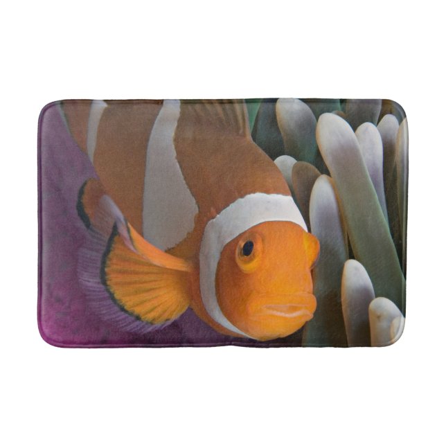 Alfombrilla De Baño Pez payaso occidental (Anverso)