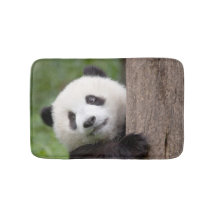 Pintura dulce del oso de panda