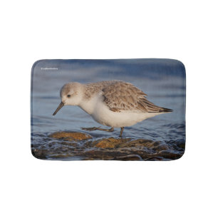 Alfombrilla De Baño Playa Cute Sanderling Sandpiper Walking Winter