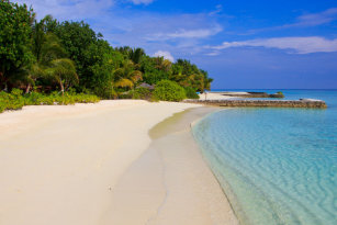 Wallpaper Alfombrillas De Bano Tematica La Playa De Zazzle Es For iPhone