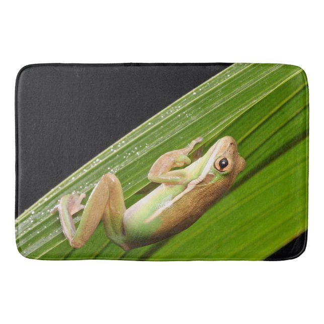 Alfombrilla De Baño Rana Pequeña En Una Hoja (Anverso)