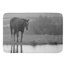Reflectionz silenciosa ~ Bathmat de caballo