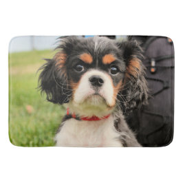 Alfombrilla De Baño Serio